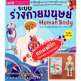 ระบบร่างกายมนุษย์ Human Body ระดับประถม + โมเดลร่างกายมนุษย์