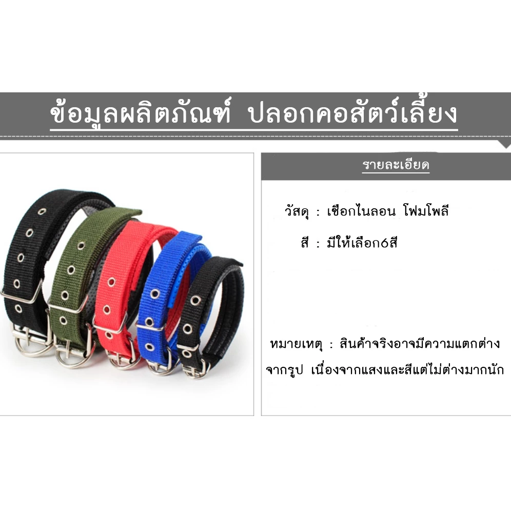 PP-142 🐕🐾 ปลอกคอสุนัขและแมว แบบไนล่อน 🐾🐈 สำหรับพันธุ์ใหญ่-พันธุ์เล็ก