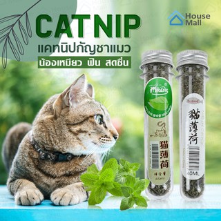 กัญชาแมว Catnip ออร์แกนิคแบบหลอด แคทนิปแมว ขนาด 40 ml ช่วยผ่อนคลายให้น้องแมว