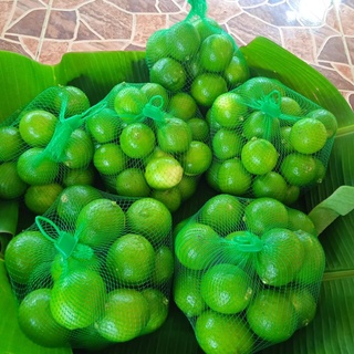 Set 7 กิโล มะนาวไร้เม็ดเขียวรวม คัดเกรดAส่งออก และปใจลอดสารไม่พ่นยาฆ่าแมลง ผ่านมาตรฐานสารเคมี