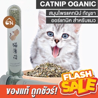 🔥ถูกสุด! พร้อมส่ง🔥Catnip Oganic กัญชาแมว สมุนไพรแคทนิป กัญชา ออร์แกนิค สำหรับแมว แบบถุง 3 g., แบบถุง 1 g.