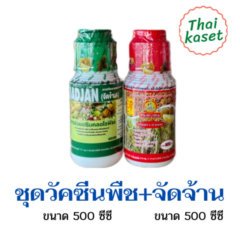 วัคซีนพืช+จัดจ้าน ของแท้ต้องมีฟรอยห่อนะคะ ฮอรโมนพืชช่วยเสริมสร้างคลอโรฟิล เสริมฤทธิ์ของปุ๋ยและยา สร้างภูมิคุ้มกันให้พืช