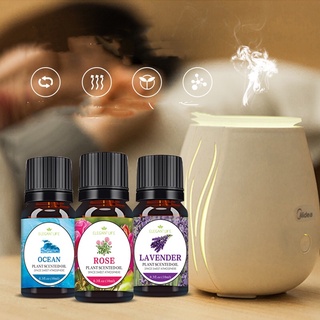 น้ำมันหอมระเหยอโรม่าเทอราพี Aromatherapy essential oil 12 กลิ่น ขนาด 10 ml.