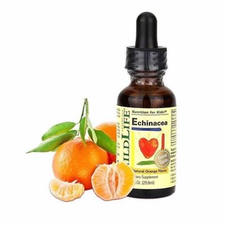 Childlife, Essentials, Echinacea 29.6 ml.