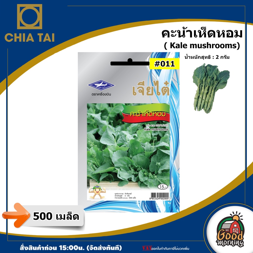 ผักซอง เจียไต๋ คะน้าเห็ดหอม #011 OP เมล็ดพันธุ์ เมล็ดพันธุ์ผัก ผักสวนครัว ผักเจียไต๋ Chia Tai ตราเครื่องบิน