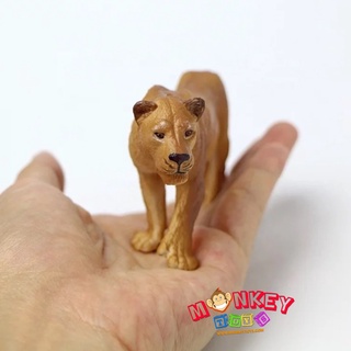 Monkey Toys - โมเดลสัตว์ แม่สิงโต ขนาด 13.00 CM (จากหาดใหญ่)