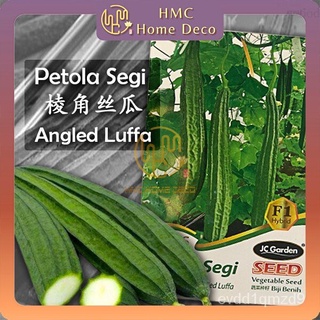 HMC K56 angled luffa เจซีการ์เด้นเมล็ดพันธุ์ผักสวนครัวปลูกพืชเมล็ดพันธุ์ผักเมล็ดพันธุ์พืช luffa sagi seeds seeds s seeds