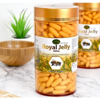 "แท้100%มีสติ๊กเกอร์" Royal jelly นมผึ้ง วิตามินบำรุง 120/365 เม็ด Nature’s King Royal Jelly 1000 Mg.(E)