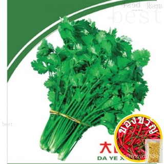 Big Leaf Parsley Seeds10g (1000 Grains) ผู้ชาย/ดอกไม้/ผักกาดหอม/คื่นฉ่าย/บ้านและสวน/เสื้อ/กุหลาบ/เมล็ด/เมล็ด/สวน/ GNMM