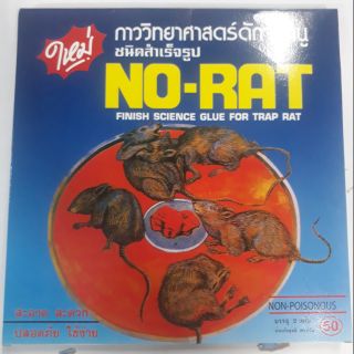 🐀🐀🐀กาววิทยาศาสตร์ดักจับหนู🐀🐀🐀