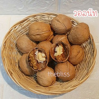 [thebliss] วอลนัท สำหรับสัตว์ฟันแทะทุกชนิด ขนมสัตว์เลี้ยง ขน…