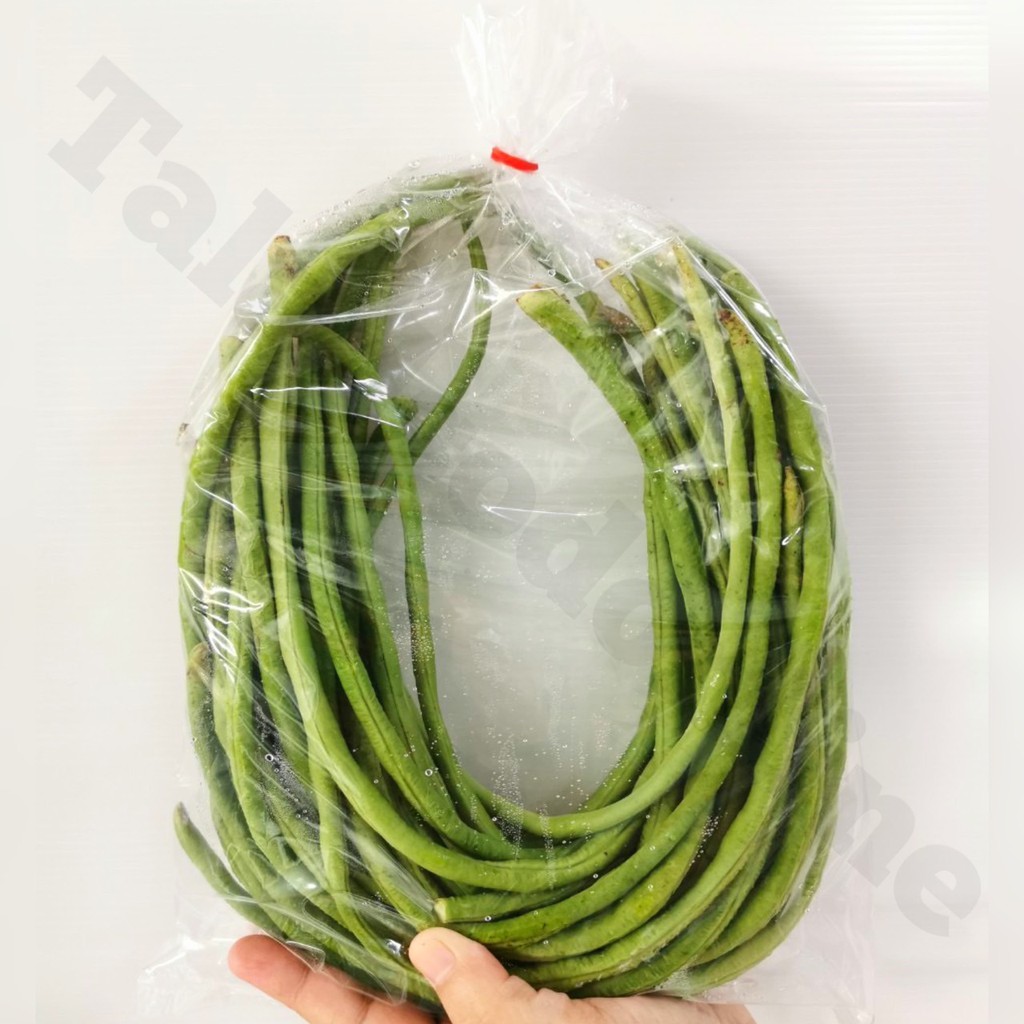 Vegetables 40 บาท ถั่วฝักยาว สด สะอาด รับประกันคุณภาพ Food & Beverages