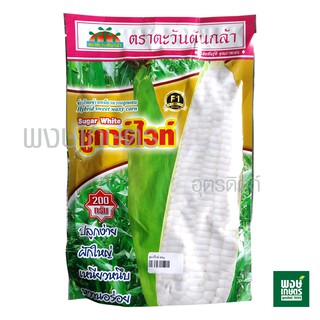 เมล็ดพันธุ์ข้าวโพดข้าวเหนียวหวานลูกผสม ซูการ์ไวท์ 200 กรัม ตราตะวันต้นกล้า ( ข้าวโพด เมล็ดพันธุ์ผัก ผักสวนครัว )