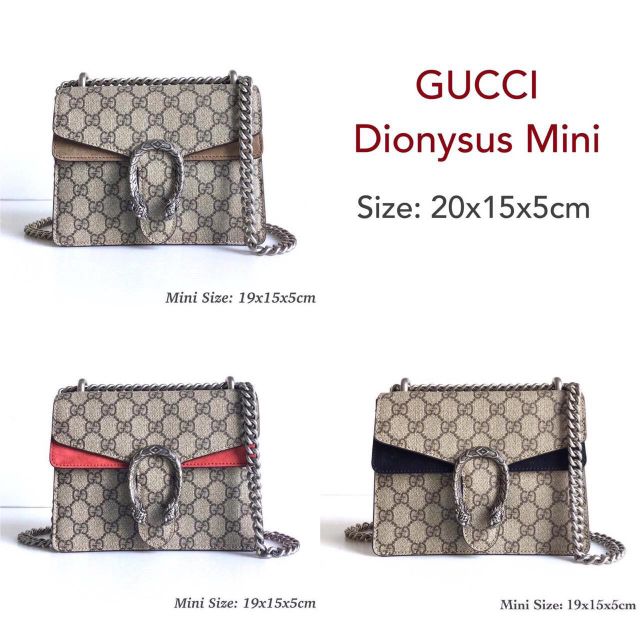 New Gucci Dionysus mini
