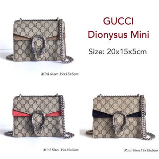 New Gucci Dionysus mini