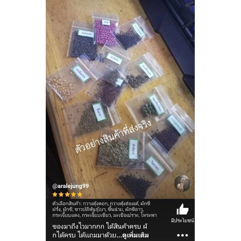🌱เมล็ดพันธุ์ผัก บรรจุซองซิป🌱 ซื้อ 10 แถม 2 คละได้ 💥 เลือกของแถมได้ คิดถึงเมล็ดผัก คิดถึง skinsun thumbnail 8