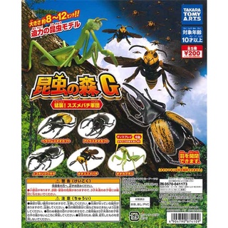 Gashapon Insect Forest G Onslaught! Wasp Corps - กาชาปอง แมลง ตั๊กแตน ผึ้ง แมลงปีกแข็ง ด้วง