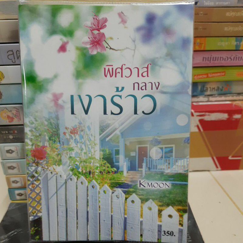 พิศวาสกลางเงาร้าว/kmoon มือสอง