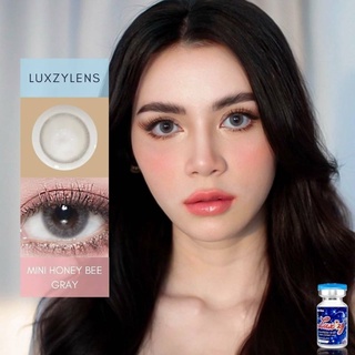 ⚡Luxzylens⚡Mini Honey Bee Gray💥คอนแทคเลนส์mini💥คอนแทคเลนส์สายตา💥คอนแทคเลนส์กรองแสง💥แถมฟรีตลับทุกคู่