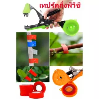 เทปรัดกิ่งองุ่น กุหลาบ แบร็คเบอรี่เสาวรสฯลฯ1ม้วน ยาว30เมตร📌ปิดโปรโมชั่นไม่มีแถม⭐เทปเหนียวได้มาตรฐานการผลิต ใช้กับเครื่อง