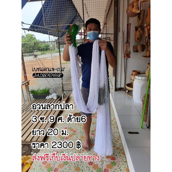 My Image 38