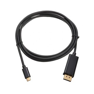 Type C to DisplayPort Cable 1.8M