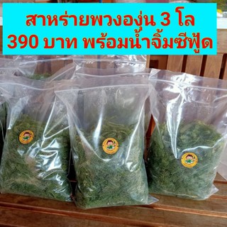 สาหร่ายพวงองุ่น ออแกนิค 3 กิโลกรัม พร้อมน้ำจิ้มซีฟู้ด 380 บาท ร้าน ณรงค์ ฟาร์ม สาหร่ายพวงองุ่น