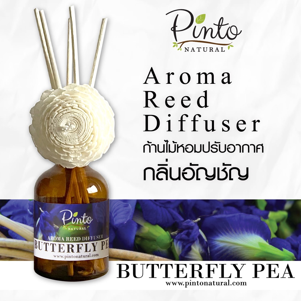 Pinto Natural Reed Diffuser Butterfly Pea ก้านไม้หอมปรับอากาศ กลิ่นอัญชัน ขนาด 50ml. และ 100ml.