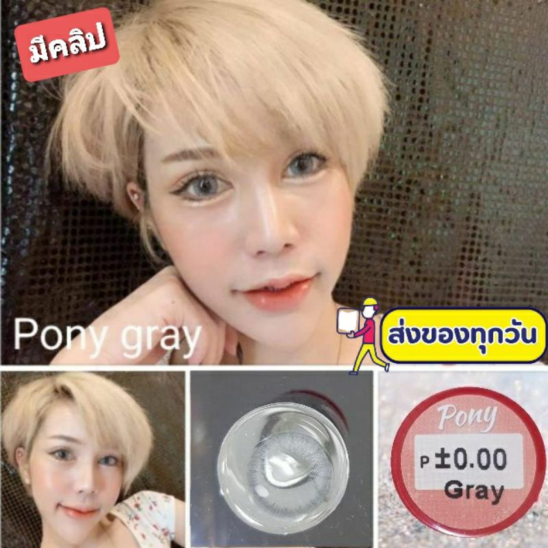 💟 mini Pony (cutie) brown gray blue green Pitchylens Sweety Plus (จัดยี่ห้อที่มีพร้อมส่ง)  Contactlens บิ๊กอาย.