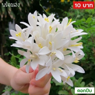 ** 7 บาท ** ดอกไม้ติดผม​ ดอกปีบ​ ดอกไม้ประดิษฐ์ ดอกไม้ปักผม