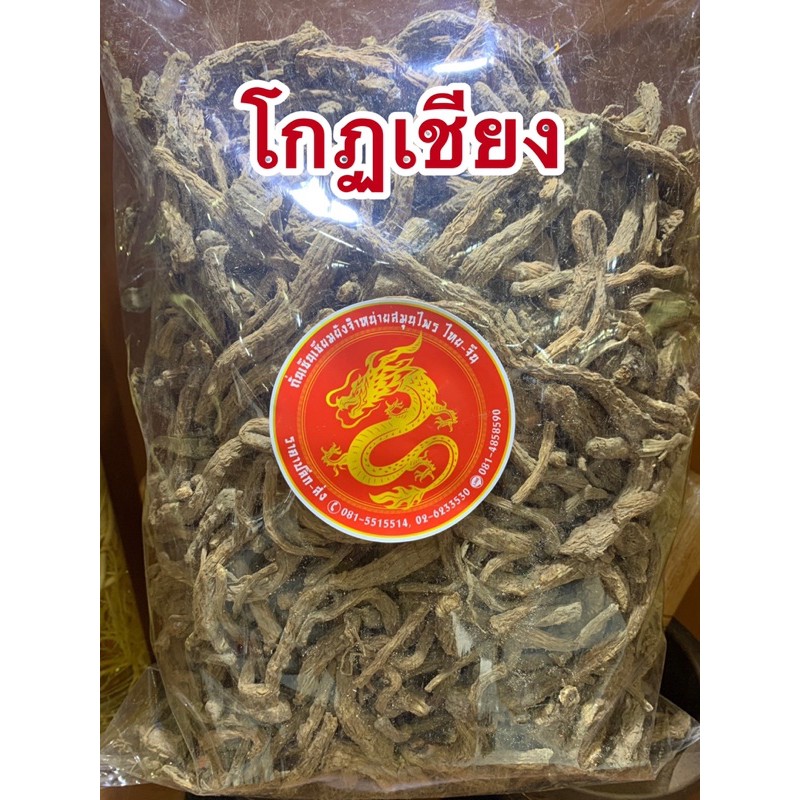 โกฏเชียงใหญ่ หรือกุยบ้วยใหญ่