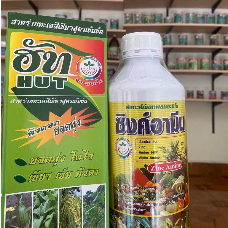 ฮัท(HUT)Xซิงค์อามีน(ZincAmine)แพ็คคู่คุ้มสุดๆ