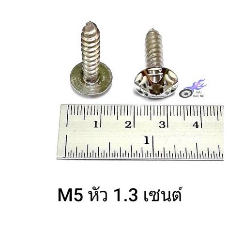 น็อตเกลียวปล่อย เลส-เฟืองดาว2ชั้น มีเกลียว M4×15 รูปที่ 7