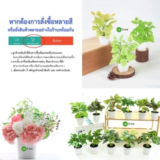 กระถาง/แจกัน พลาสติกคุณภาพดี มาพร้อมโฟม+มอส (พร้อมส่งในไทย ถึงเร็วทันใจ)