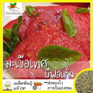 เมล็ดพันธุ์ มะเขือเทศ บีฟสเต็ก 50 เมล็ด Red Beefsteak Tomato เมล็ดพันธุ์แท้ นำเข้าจากต่างประเทศ ปลูกผัก สวนครัว ถูกดี