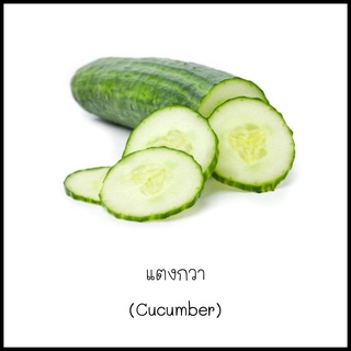 เมล็ดแตงกวา (Cucumber) 15 เมล็ด [10 แถม 1 คละได้]