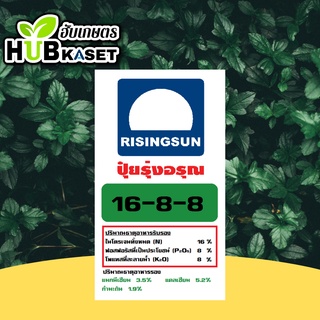 🌱 รุ่งอรุณ 16-8-8 (ปุ๋ยแบ่งขาย) ปุ๋ยสูตร เร่งต้น เร่งใบ ฟื้นต้น