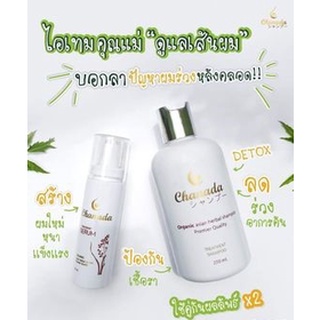 ส่งฟรี Chanada Set (แชมพู 1 เซรั่ม 1 ) เซทเริ่มต้นดูแลรากผมและหนังศีรษะ ( แชมพูลดผมร่วง +เซรั่มสร้างผมหนาเร่งผมยาว)