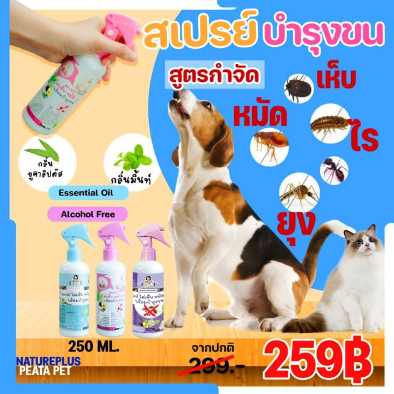 สเปรย์ไล่เห็บ หมัด ไร ยุง สำหรับ สุนัข แมว – Nature Plus ราคา ถูกที่สุด ดีลบีเคเค แกลเลอรีภาพที่ 3