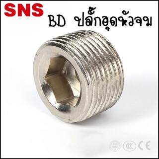 BD ปลั๊กอุดหัวจม แบบใช้ 6 เหลี่ยมขัน ขนาด 1-4 หุน - BD-01 ขนาด 1/8 / BD-02 ขนาด 1/4 / BD-03 ขนาด 3/8 / BD-04 ขนาด 1/2