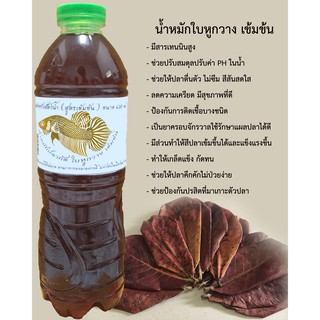 น้ำหมัก ใบหูกวาง ขนาด 600 ml. สำหรับ ปลากัด และ ปลาสวยงาม  สูตรเข้มข้น สายใต้ สายมาเล