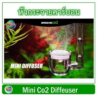 Mini Diffuser Co2  หัวดิฟตู้ไม้น้ำ