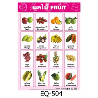 ผลไม้ Fruit (พื้นสีชมพู) EQ-504 สื่อโปสเตอร์ภาพ กระดาษ หุ้มพลาสติก