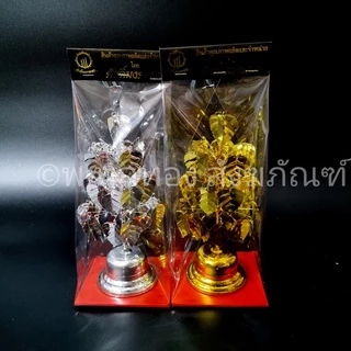 โพธิ์เงิน โพธิ์ทอง โพธิ์กะไหล่ เงิน โพธิ์ กะไหล่ทอง ใบใหญ่