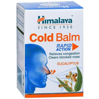 HIMALAYA COLD BALM 10G. บาล์มเย็น  กลิ่นยูคาลิปตัส หมดอายุ 10/2024