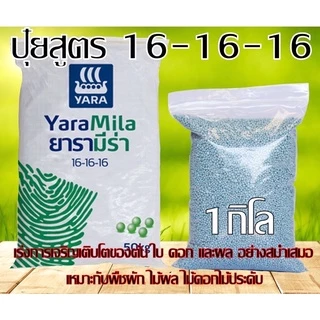 ปุ๋ย สูตร 16-16-16 เร่งต้น เร่งดอก เร่งผล