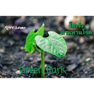 มูลค้างคาวแท้ 100% ขนาด 1 กิโลกรัม เร่งดอก แตกตา ผลดก รสหวาน เพิ่มผลผลิต ดินร่วนซุย ต้านทานโรค