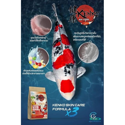 Kenko Skin Care Formula x 3 เม็ดจม เม็ดลอย