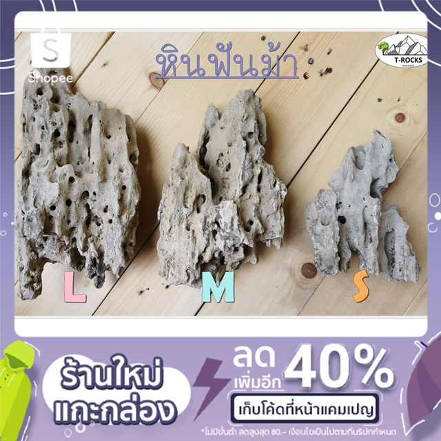 หินฟันม้า (หินประดับ ทำสวนถาด แต่งกระถางบอนไซ ตู้ไม้น้ำ) เกรดคัดพิเศษ