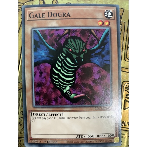 โพสต์ Yugioh: gale dogra